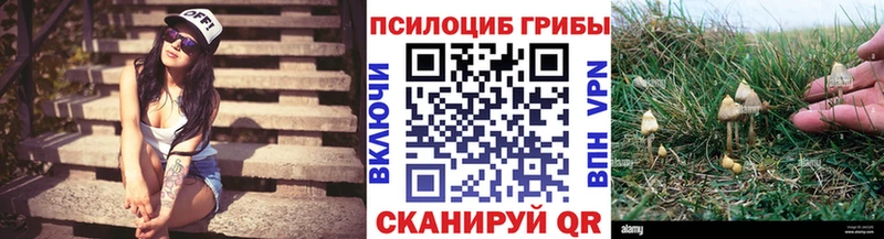 продажа наркотиков  Моршанск  Галлюциногенные грибы Psilocybine cubensis 